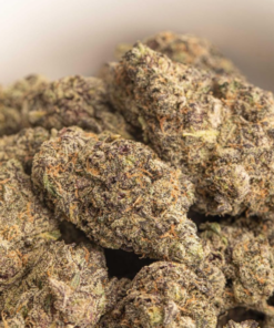 order Purple Kush online in the UK