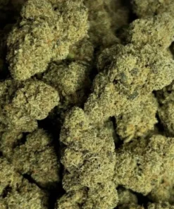 Zombie Kush drug