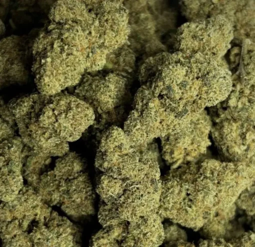 Zombie Kush drug